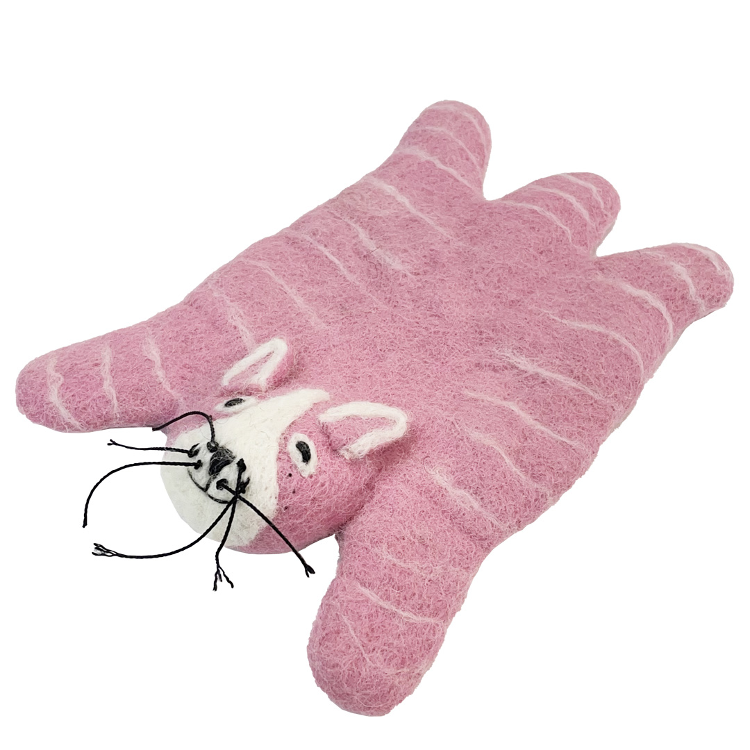 PINK CAT_COSTER